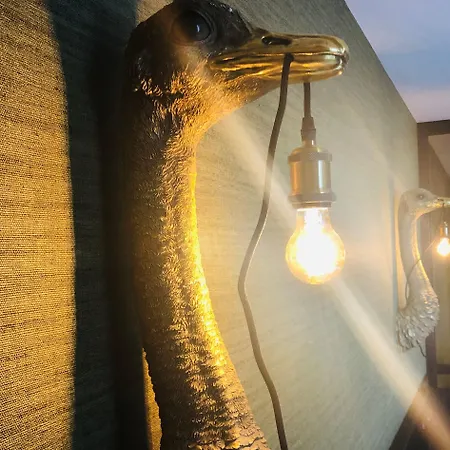 فان دير فالك ماستريخت فندق